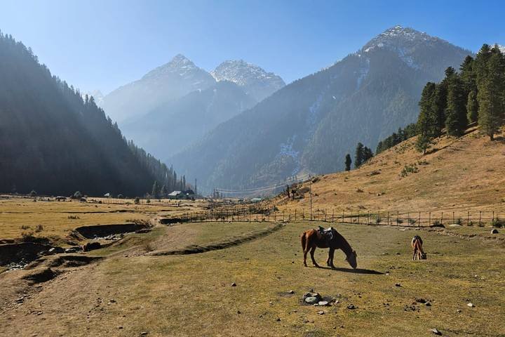 Hunza Valley Escape 11